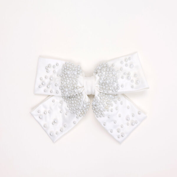 Occasion Hair Clip
