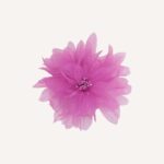 Occasion Hair Clip - Image 9