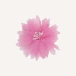 Occasion Hair Clip