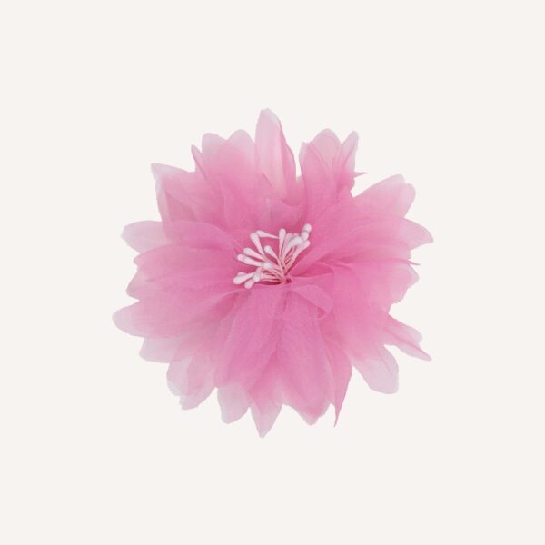 Occasion Hair Clip