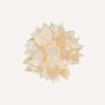 Occasion Hair Clip - Image 11