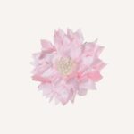 Occasion Hair Clip - Image 15