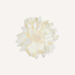 Occasion Hair Clip - Image 14