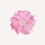 Occasion Hair Clip