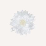 Occasion Hair Clip - Image 8