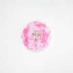 Occasion Hair Clip - Image 7