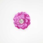 Occasion Hair Clip