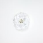 Occasion Hair Clip - Image 5