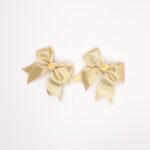 Occasion Hair Clip