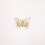 Occasion Hair Clip