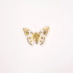 Occasion Hair Clip