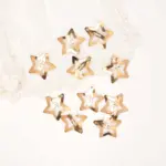 Gold Star Metal Hair Clips